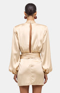 Imara Dress Back View