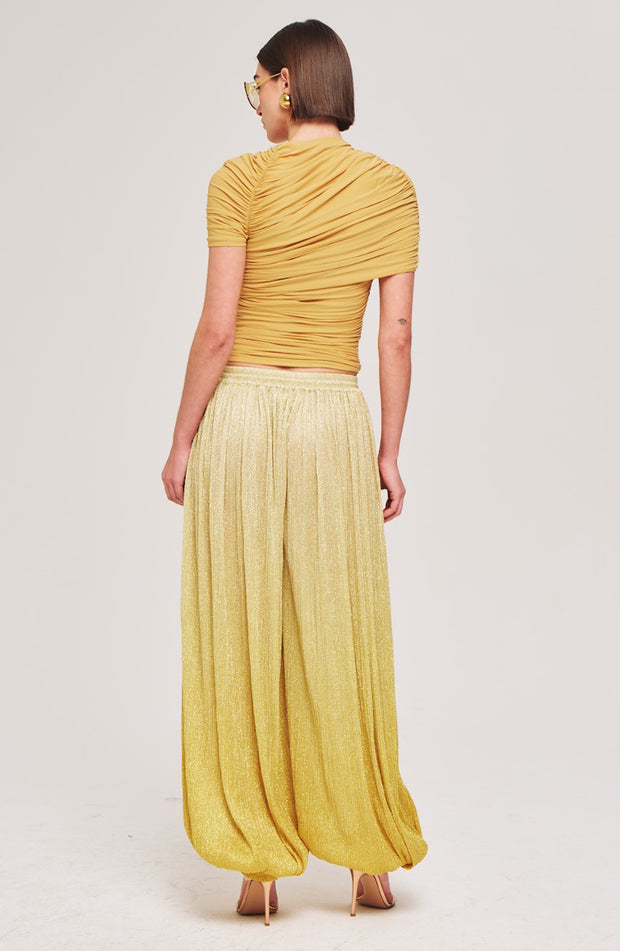 Dickens Pants Back View